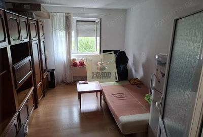 Garsoniera etaj 1 Vasile Aaron 22 mp utili - 2