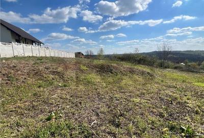 RECO teren de in zona Paleu - 4