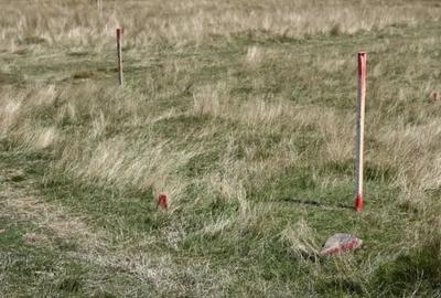 Teren Construcții intravilan de 1500 mp, în Păltiniș - 4