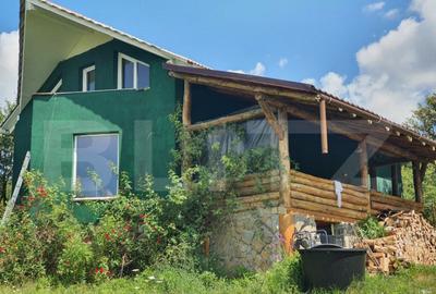 Casa 180mp utili, 15 ari de teren, Valea Slatinitei - 7