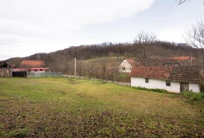 RECO Casa de vacanta la Holod- langa padure- teren 2190mp - 9