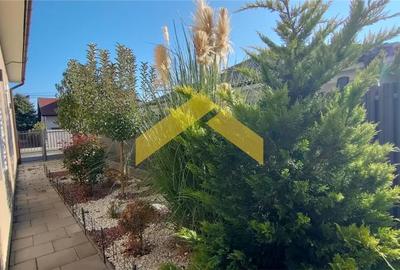 Casa de vanzare P+M in S?nandrei, Timis - 14