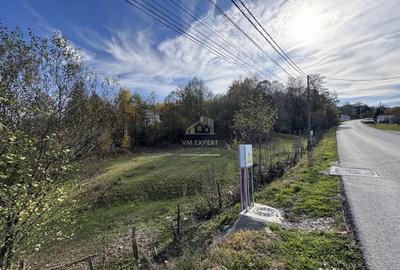 Teren de 13167 mp, în Bughea de Sus - 11