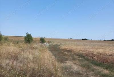 Teren de 575 mp, în Berceni - 2