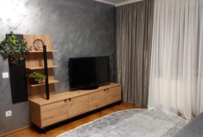 Apartament cu 2 camere, zona Tribunal - Papadie, prima inchiriere - 3
