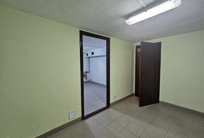 Casă individuală mare, deosebită, D+P+M, Timișoara, Braytim, comision 0% - 18