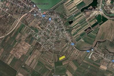 Teren de 5000 mp, în Mihăilești - 1