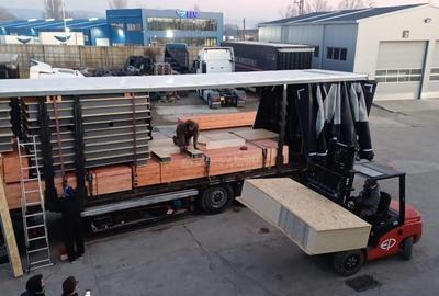 Casă cu 3 camere cu Teren 300 Mp în Lugoj - 10