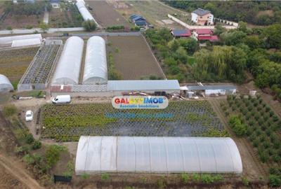 Teren de 9529 mp, în Mihăilești - 3