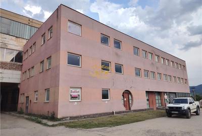 Cladire industriala cu societate in fuctiune (Miercurea Ciuc - 3