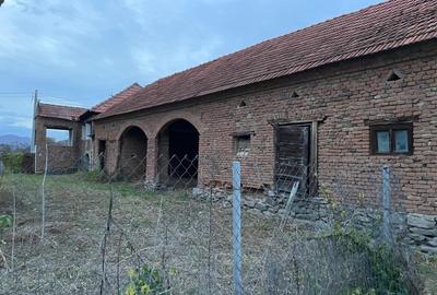 Densuș, casă de vânzare, pozitie extraordinara, 3000 mp teren - 2