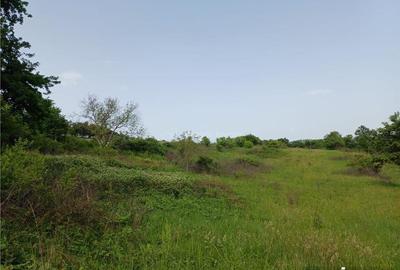 Resita, Teren Drept Intravilan, 11510 Mp., 4 Euro Mp., Valea Terovei - 8