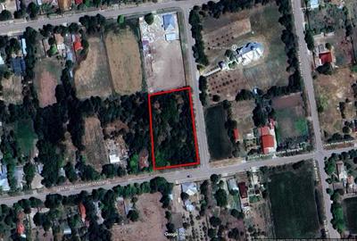 Teren de 3200 mp, în Traian - 3