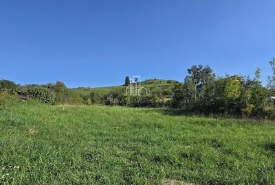 Casa de vanzare, Laslea, Judet Mures - 2