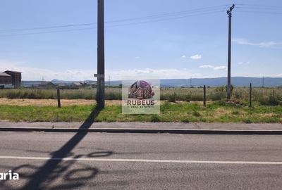 Teren de 12003 mp, în Schela - 2