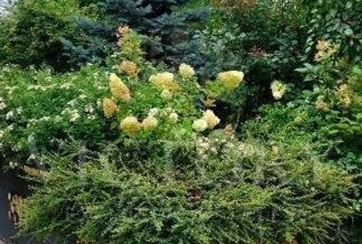 Apartament 2 camere || Complex Parcului|| la 5 min de Herastrau - 9