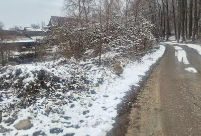 Teren de 9000 mp, în Păușești-Măglași - 9