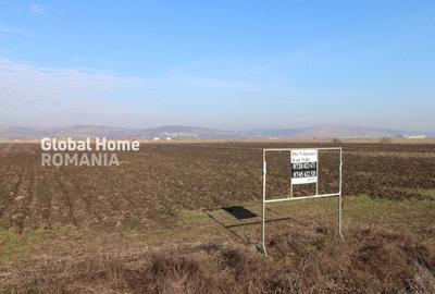 Teren 25000 MP | TG. MURES-SANPAUL | INTRAVILAN | 98 m acces DN 15 | A3 la 5 km - 3