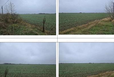 Teren Budesti, ID: R2362337 - 2