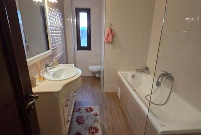 Apartament cu 3 camere decomandat, mobilat în Sub Arini - 9