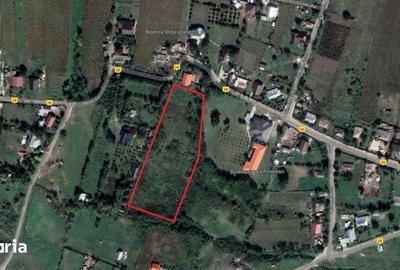 Teren de 7000 mp, în Miroslava - 8