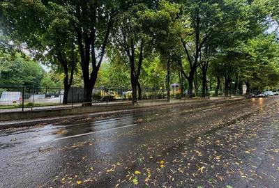 Vânzare Casă cu aplasare Strategică - Copou - Parcul Expoziției - 17