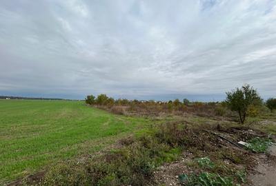 Darvari Ciorogarla Str Tineretului 2 loturi 500 mp zona in dezvoltare - 6