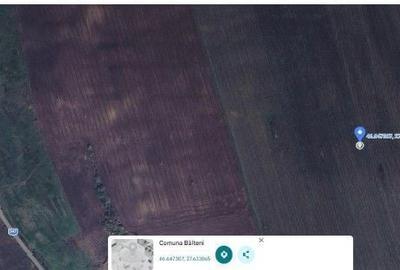 Teren de 4300 mp, în Bălteni - 2