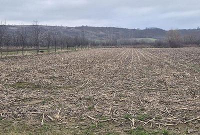 Casă cu 2 camere cu Teren 4000 Mp în Tăut - 10