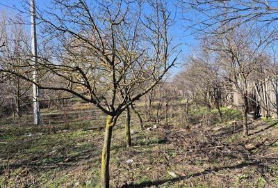 Casă în Brâncoveanca - 1