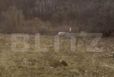 Teren de 3300 mp, în Sălicea - 2