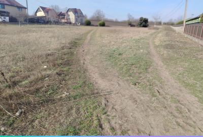 Teren de 5000 mp, în Podu Roș - 3