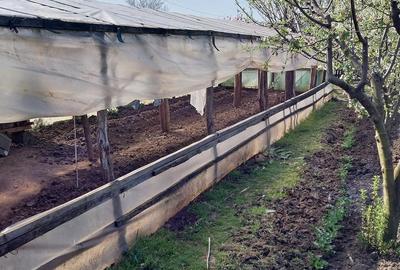 Casă cu 6 camere cu Teren 2000 Mp în Pietrele - 7