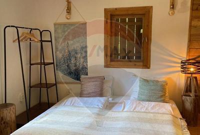 Casa de vacanta la munte de vanzare - 8