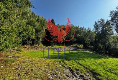 18000 mp de natura pura ,Lupeni, langa Straja - 30