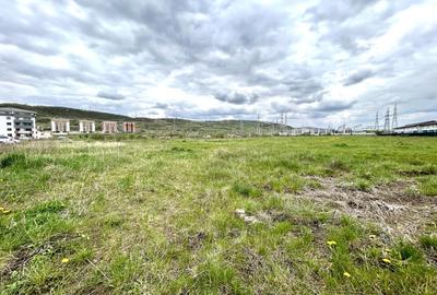 Teren Intravilan, 2.640 mp,  Zona Terra - 1