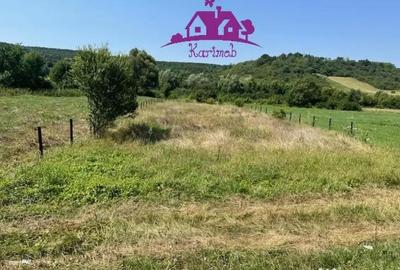 Teren de 1100 mp, în Hidiș - 2