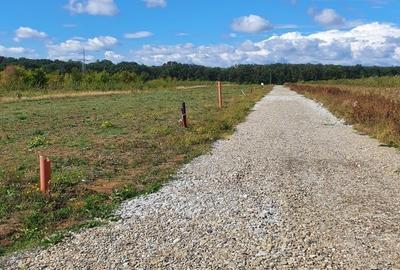 Teren Construcții intravilan de 556 mp, în Brănești - 5