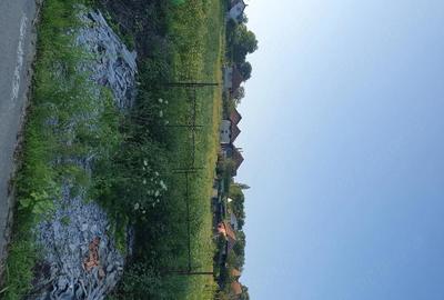 Teren de 3300 mp, în Firminiș - 6