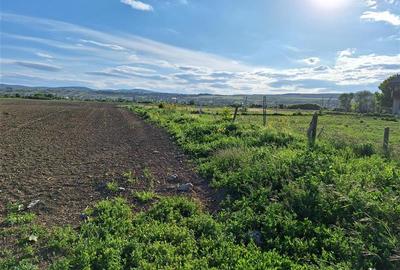 Teren agricol intravilan de 1200 mp, în 9 Mai - 4