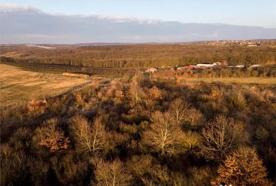 Teren în Săldăbagiu de Munte - 13