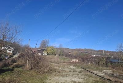 7277mp teren intravilan, la strada principala, in comuna Gole?ti, sat Blidari, jud Valcea - 10