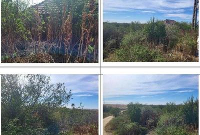 Casa si teren Sat Guruieni, cota parte de 1/2 , ID: R2319667 - 2