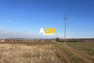Teren Construcții intravilan de 1300 mp, în Periferie - 2