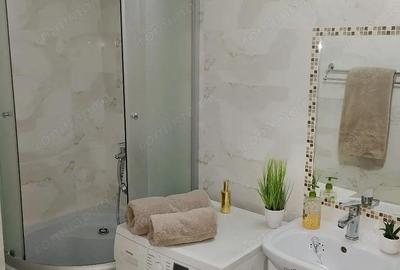 Garsonieră semidecomandată în Buziașului - 1