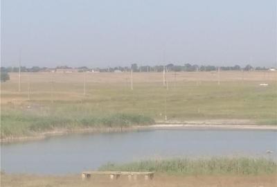 Teren de 3000 mp, în Murighiol - 5
