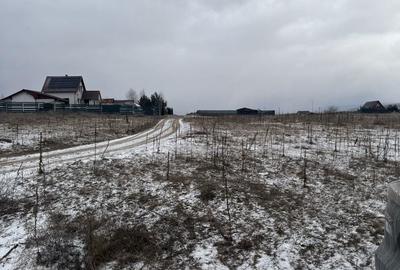 Spațiu comercial, în Reci - 1