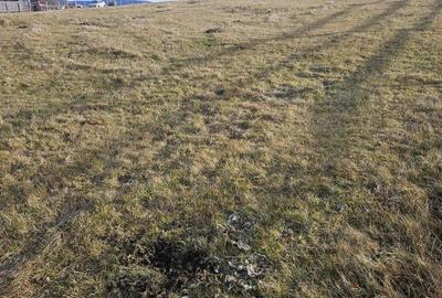 Spațiu comercial, în Măguri - 4