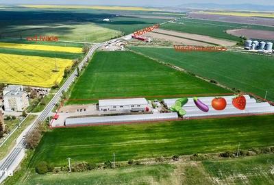 Spațiu comercial, de 10,000 mp, în Horia - 4