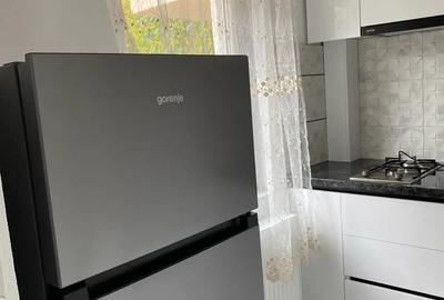 Apartament cu 1 camera-Bucovina - 1